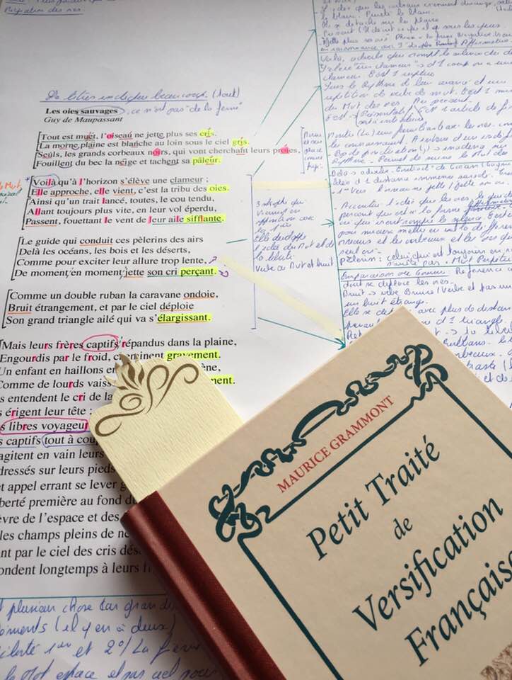 Rétrospective 2018 - STAGE :  LA POÉSIE AU XVIIIème